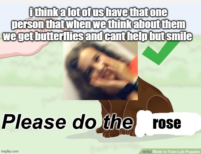 just a thought, i mean i know i do | i think a lot of us have that one person that when we think about them we get butterflies and cant help but smile | image tagged in please do the rose | made w/ Imgflip meme maker