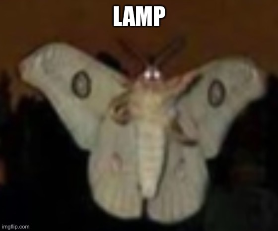 The Möth | LAMP | image tagged in the m th | made w/ Imgflip meme maker