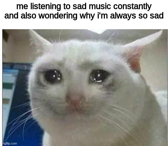 crying cat | me listening to sad music constantly and also wondering why i'm always so sad | image tagged in crying cat | made w/ Imgflip meme maker