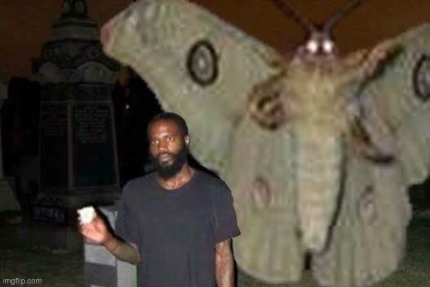 The Möth God (and human) | image tagged in the m th god and human | made w/ Imgflip meme maker