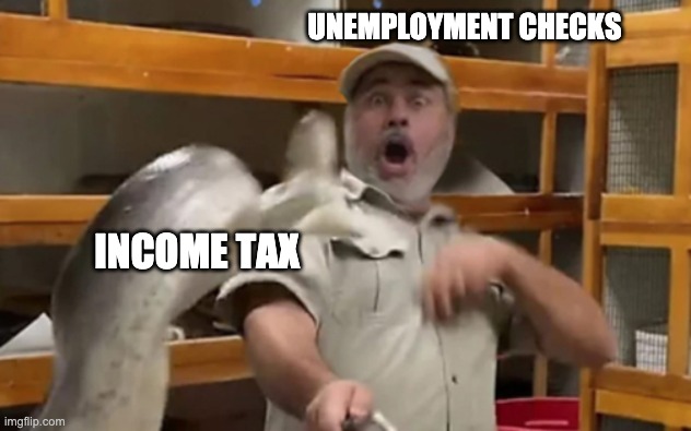 They are always lurking |  UNEMPLOYMENT CHECKS; INCOME TAX | image tagged in snake attack | made w/ Imgflip meme maker