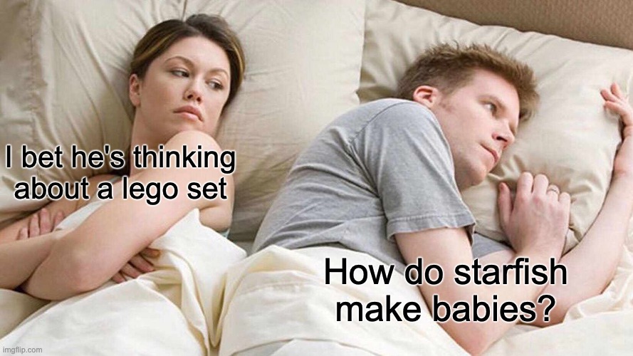 How do starfish make babies tho?! | I bet he's thinking about a lego set; How do starfish make babies? | image tagged in memes,i bet he's thinking about other women | made w/ Imgflip meme maker