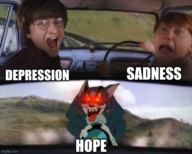 lol | SADNESS; DEPRESSION; HOPE | image tagged in tom chasing harry and ron weasly,hahahaha | made w/ Imgflip meme maker