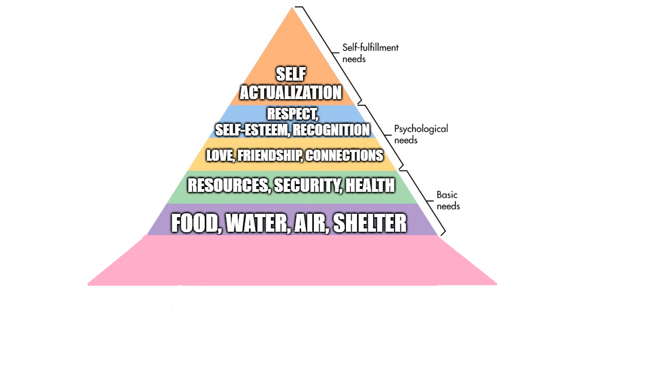 hierarchy of needs Blank Template Imgflip