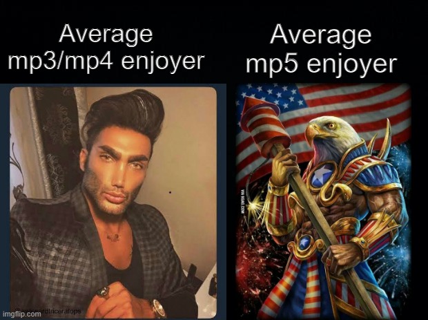 I can personally confirm | Average mp5 enjoyer; Average mp3/mp4 enjoyer | image tagged in dank memes | made w/ Imgflip meme maker