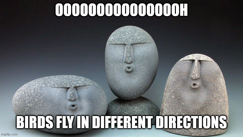 Oof Stones | OOOOOOOOOOOOOOOH; BIRDS FLY IN DIFFERENT DIRECTIONS | image tagged in oof stones | made w/ Imgflip meme maker