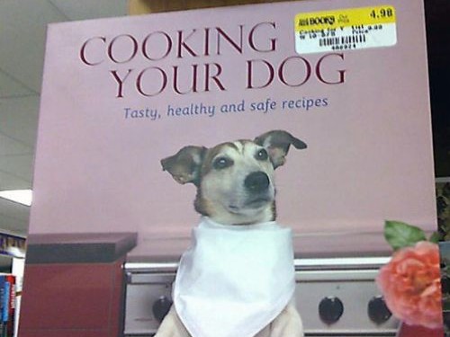 image tagged in funny,dogs