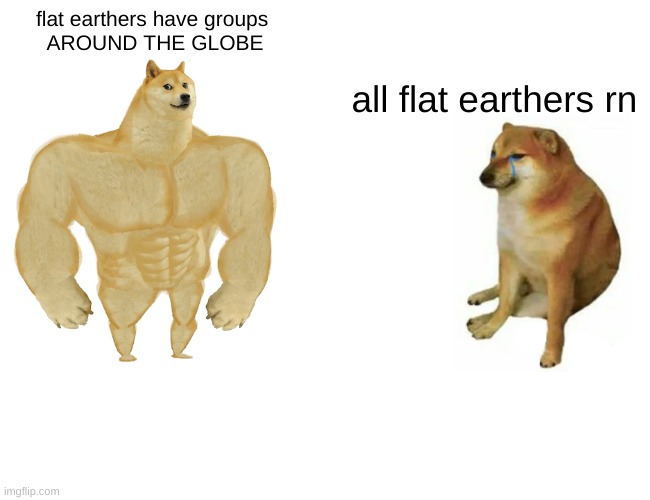 Buff Doge vs. Cheems | flat earthers have groups 
AROUND THE GLOBE; all flat earthers rn | image tagged in memes,buff doge vs cheems | made w/ Imgflip meme maker