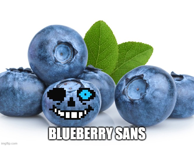 BLUEBERRY SANS | made w/ Imgflip meme maker