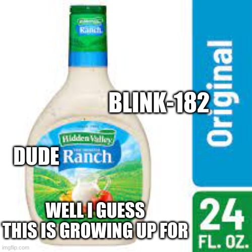 blink-182 meme | BLINK-182; DUDE; WELL I GUESS THIS IS GROWING UP FOR | image tagged in blink-182,memes,fun,funny,dude ranch,lol | made w/ Imgflip meme maker