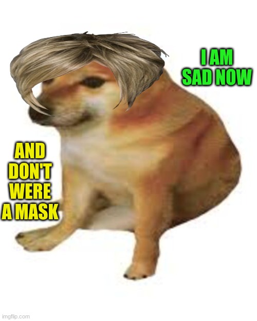 baby cheems | I AM SAD NOW AND DON'T WERE A MASK | image tagged in baby cheems | made w/ Imgflip meme maker