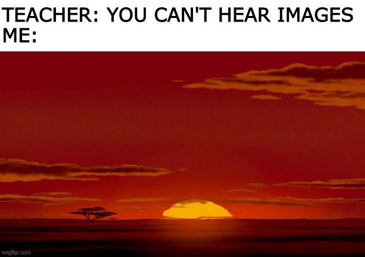  TEACHER: YOU CAN'T HEAR IMAGES
ME: | image tagged in lion king,sunrise | made w/ Imgflip meme maker