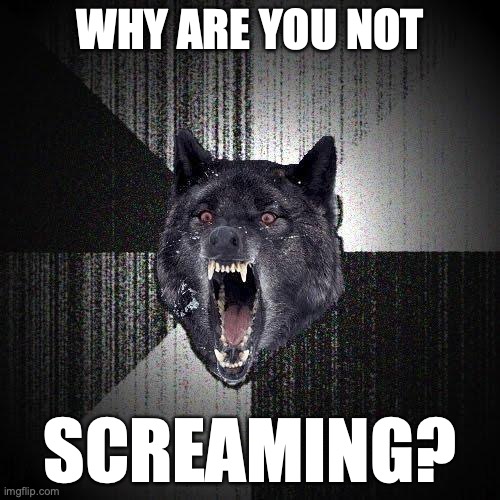 Why are you not SCREAMING? | WHY ARE YOU NOT; SCREAMING? | image tagged in memes,insanity wolf | made w/ Imgflip meme maker