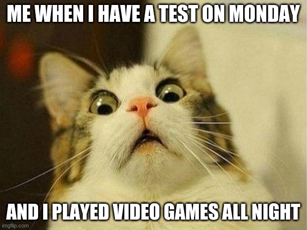 Scared Cat Meme | ME WHEN I HAVE A TEST ON MONDAY; AND I PLAYED VIDEO GAMES ALL NIGHT | image tagged in memes,scared cat | made w/ Imgflip meme maker