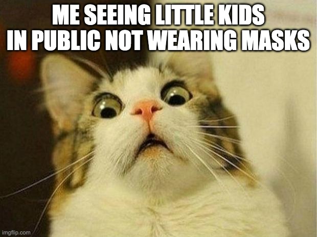 Scared Cat | ME SEEING LITTLE KIDS IN PUBLIC NOT WEARING MASKS | image tagged in memes,scared cat | made w/ Imgflip meme maker