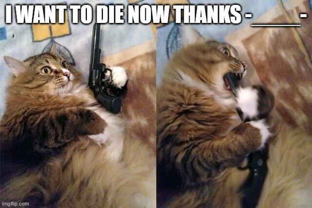 Gun to mouth cat | I WANT TO DIE NOW THANKS -____- | image tagged in gun to mouth cat | made w/ Imgflip meme maker