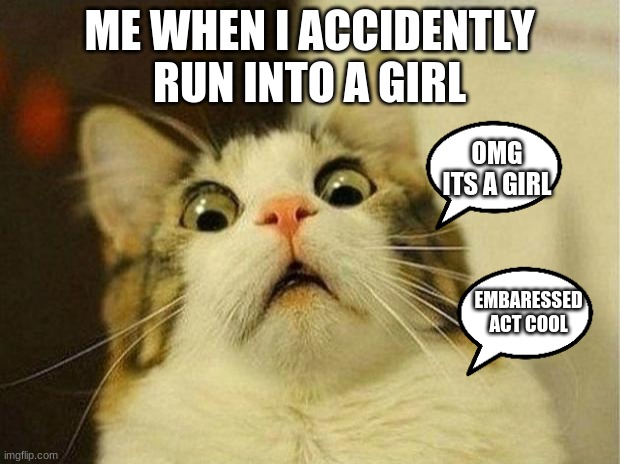 Scared Cat | ME WHEN I ACCIDENTLY RUN INTO A GIRL; OMG ITS A GIRL; EMBARESSED ACT COOL | image tagged in memes,scared cat | made w/ Imgflip meme maker