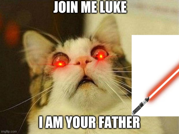 Scared Cat | JOIN ME LUKE; I AM YOUR FATHER | image tagged in memes,scared cat | made w/ Imgflip meme maker