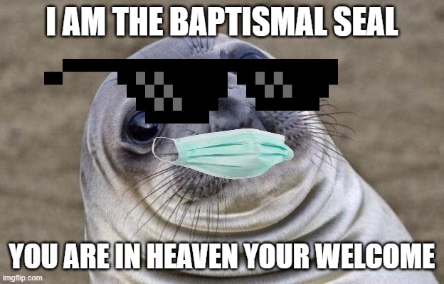 Awkward Moment Sealion Meme | I AM THE BAPTISMAL SEAL; YOU ARE IN HEAVEN YOUR WELCOME | image tagged in memes,awkward moment sealion | made w/ Imgflip meme maker