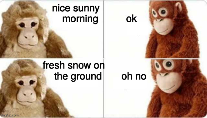 Snowy tale | nice sunny                    
morning          ok; fresh snow on                        
 the ground       oh no | image tagged in aja-ayno,snow | made w/ Imgflip meme maker
