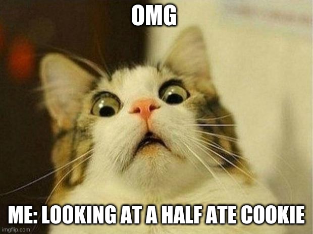 this is NOT ok | OMG; ME: LOOKING AT A HALF ATE COOKIE | image tagged in memes,scared cat | made w/ Imgflip meme maker