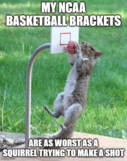 Squirrel basketball | MY NCAA BASKETBALL BRACKETS; ARE AS WORST AS A SQUIRREL TRYING TO MAKE A SHOT | image tagged in squirrel basketball | made w/ Imgflip meme maker