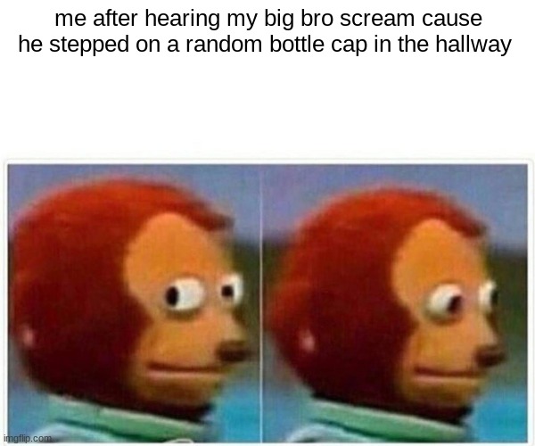 Monkey Puppet Meme | me after hearing my big bro scream cause he stepped on a random bottle cap in the hallway | image tagged in memes,monkey puppet,funny,meme | made w/ Imgflip meme maker