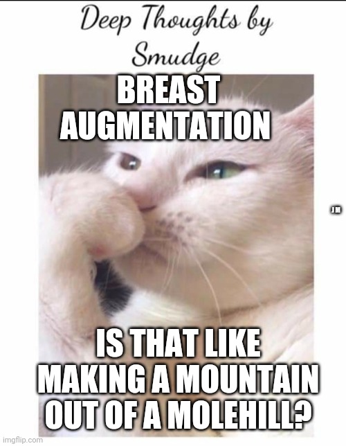 Smudge | BREAST AUGMENTATION; J M; IS THAT LIKE MAKING A MOUNTAIN OUT OF A MOLEHILL? | image tagged in smudge | made w/ Imgflip meme maker