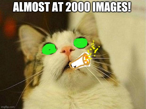 Almost | ALMOST AT 2000 IMAGES! | image tagged in memes,scared cat | made w/ Imgflip meme maker