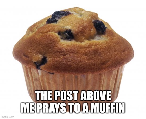 Popular Opinion Muffin | THE POST ABOVE ME PRAYS TO A MUFFIN | image tagged in popular opinion muffin | made w/ Imgflip meme maker