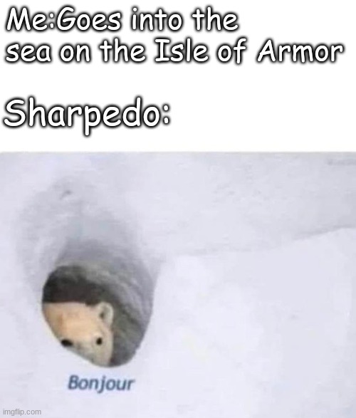 Why? Just why Sharpedo? | Me:Goes into the sea on the Isle of Armor; Sharpedo: | image tagged in bonjour,pokemon | made w/ Imgflip meme maker