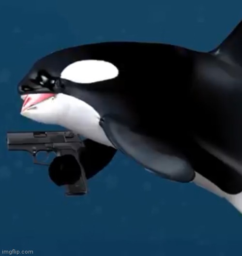 It's the killer whale | image tagged in sml,killer whale,gun,idk | made w/ Imgflip meme maker
