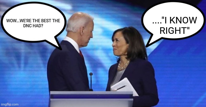 Biden Harris dialogue | ...."I KNOW RIGHT"; WOW...WE'RE THE BEST THE DNC HAD? | image tagged in biden harris dialogue | made w/ Imgflip meme maker