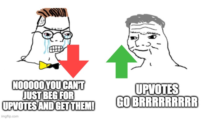 noooo you can't just | NOOOOO YOU CAN'T JUST BEG FOR UPVOTES AND GET THEM! UPVOTES GO BRRRRRRRRR | image tagged in noooo you can't just | made w/ Imgflip meme maker