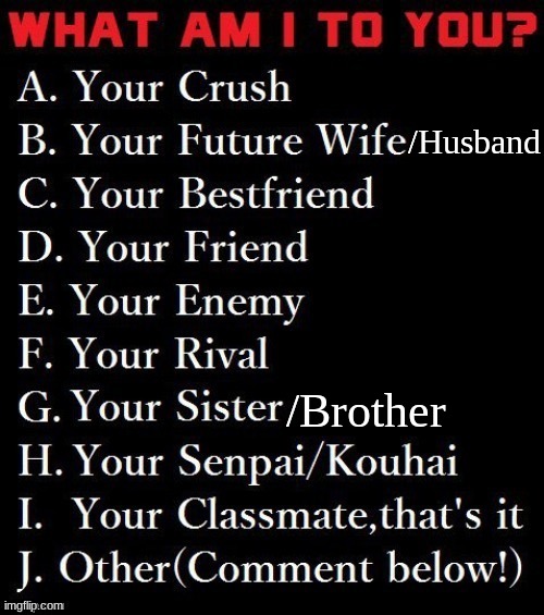 Why not do this | /Husband; /Brother | made w/ Imgflip meme maker