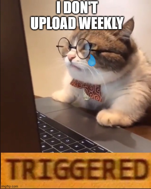 sad days i be getting sad days | I DON'T UPLOAD WEEKLY | image tagged in research cat | made w/ Imgflip meme maker