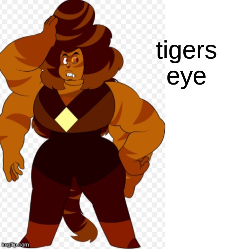 tigers eye | made w/ Imgflip meme maker
