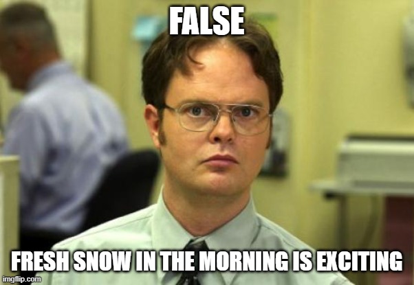 Dwight Schrute Meme | FALSE FRESH SNOW IN THE MORNING IS EXCITING | image tagged in memes,dwight schrute | made w/ Imgflip meme maker