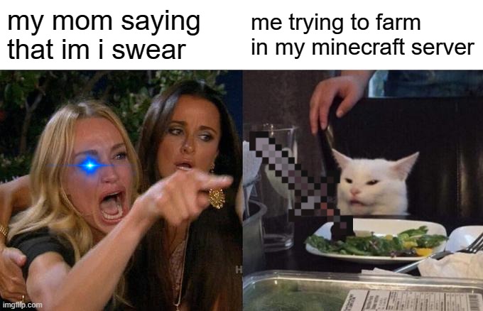 minecraft be like | my mom saying that im i swear; me trying to farm in my minecraft server | image tagged in memes,woman yelling at cat | made w/ Imgflip meme maker