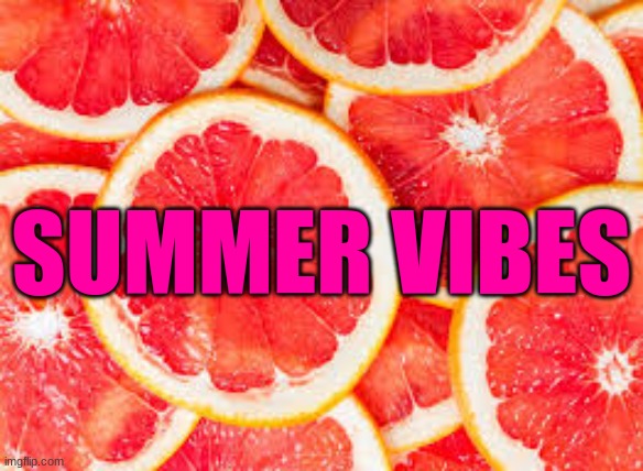 summer vibes | SUMMER VIBES | image tagged in summer vibes | made w/ Imgflip meme maker