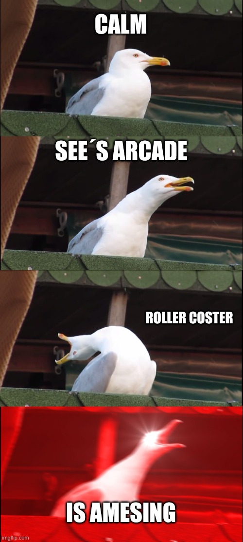 yell | CALM; SEE´S ARCADE; ROLLER COSTER; IS AMESING | image tagged in memes,inhaling seagull | made w/ Imgflip meme maker