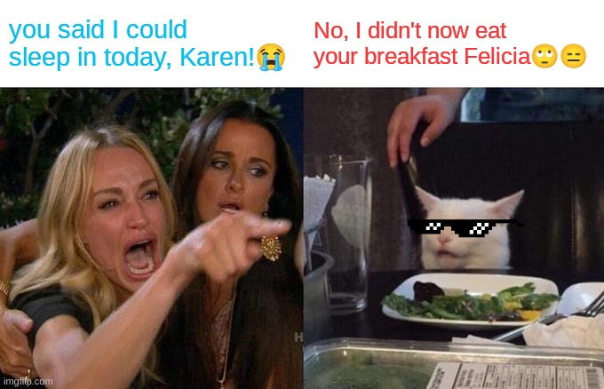 Woman Yelling At Cat | you said I could sleep in today, Karen!😭; No, I didn't now eat your breakfast Felicia🙄😑 | image tagged in memes,woman yelling at cat | made w/ Imgflip meme maker