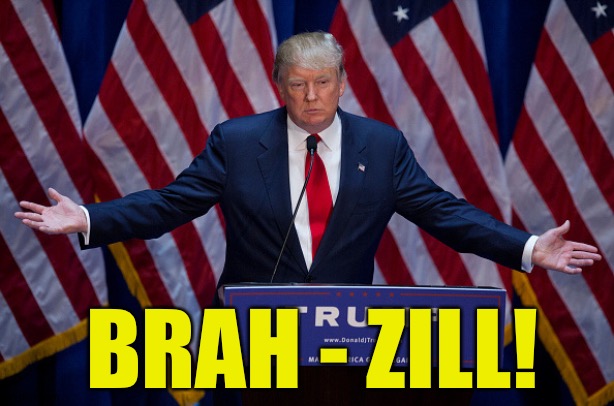 Donald Trump | BRAH - ZILL! | image tagged in donald trump | made w/ Imgflip meme maker