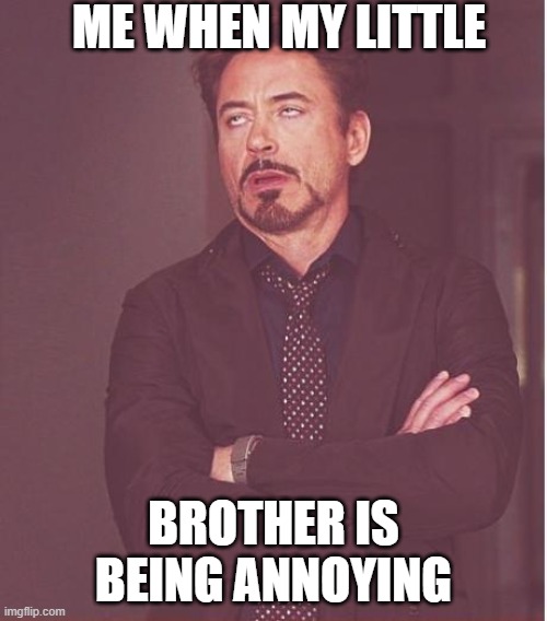 Face You Make Robert Downey Jr Meme | ME WHEN MY LITTLE; BROTHER IS BEING ANNOYING | image tagged in memes,siblings,relatable,funny meme | made w/ Imgflip meme maker