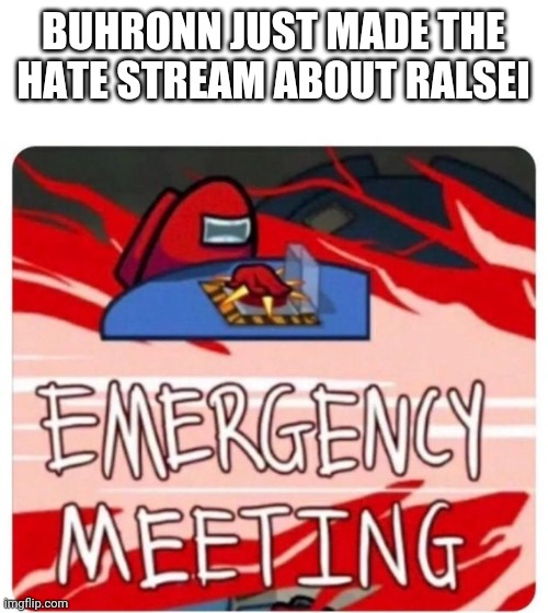 Send help | BUHRONN JUST MADE THE HATE STREAM ABOUT RALSEI | image tagged in emergency meeting among us | made w/ Imgflip meme maker