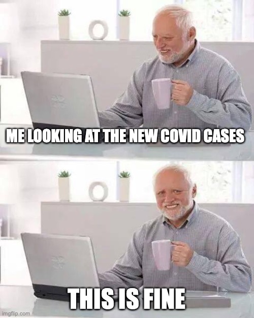 Lol | ME LOOKING AT THE NEW COVID CASES; THIS IS FINE | image tagged in memes,hide the pain harold | made w/ Imgflip meme maker