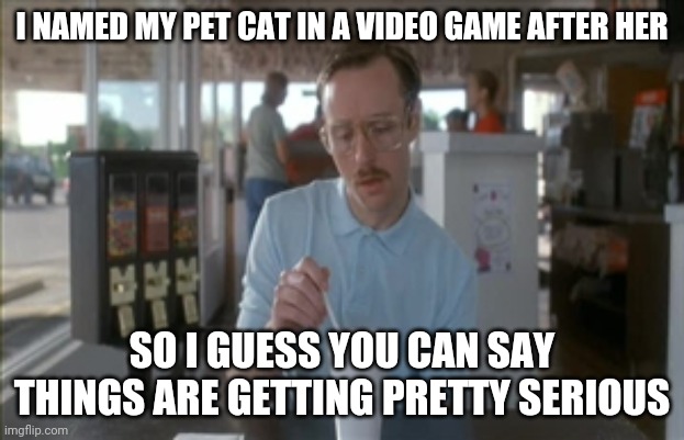 So I Guess You Can Say Things Are Getting Pretty Serious |  I NAMED MY PET CAT IN A VIDEO GAME AFTER HER; SO I GUESS YOU CAN SAY THINGS ARE GETTING PRETTY SERIOUS | image tagged in memes,so i guess you can say things are getting pretty serious | made w/ Imgflip meme maker