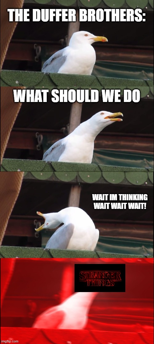THE DUFFER BROTHERS | THE DUFFER BROTHERS:; WHAT SHOULD WE DO; WAIT IM THINKING WAIT WAIT WAIT! | image tagged in memes,inhaling seagull | made w/ Imgflip meme maker
