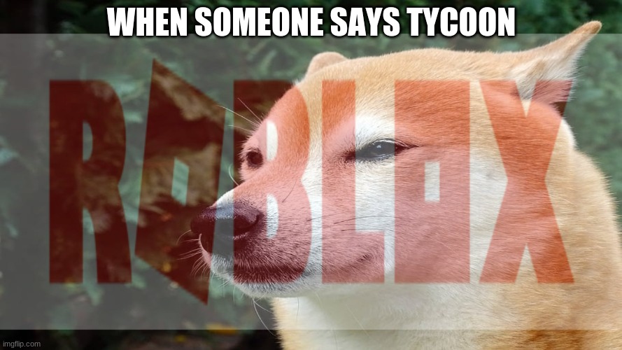 Roblox | WHEN SOMEONE SAYS TYCOON | image tagged in roblox,memes | made w/ Imgflip meme maker