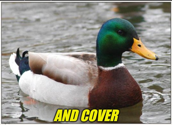 Actual Advice Mallard Meme | AND COVER | image tagged in memes,actual advice mallard | made w/ Imgflip meme maker